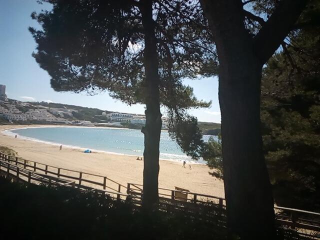 Castellsol Arenal Home Beach Punta Grossa Cameră foto